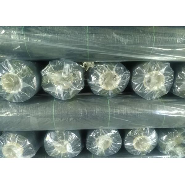 Black Geosynthetic Fabric , Agricultural Anti-grass Ground Cover Weed Mat For Watermelon
