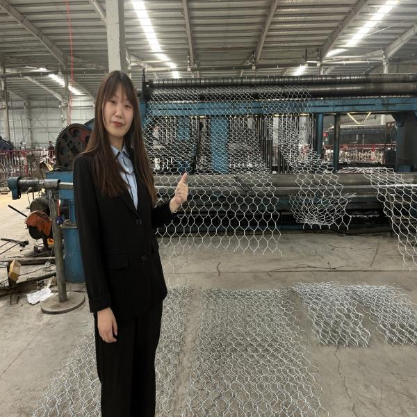 1mx1mx0.5m Malha de arame galvanizado