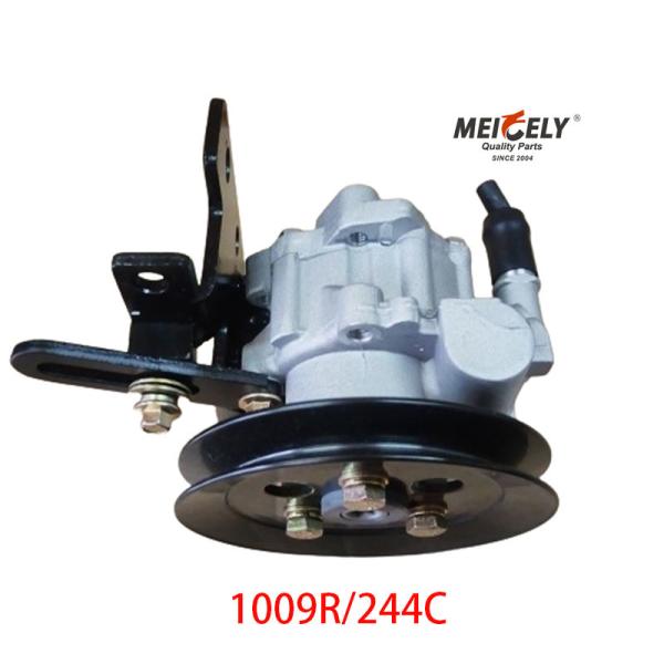 1009R/244C JAC Foton Dongfeng Yunnei Servidor de Direção