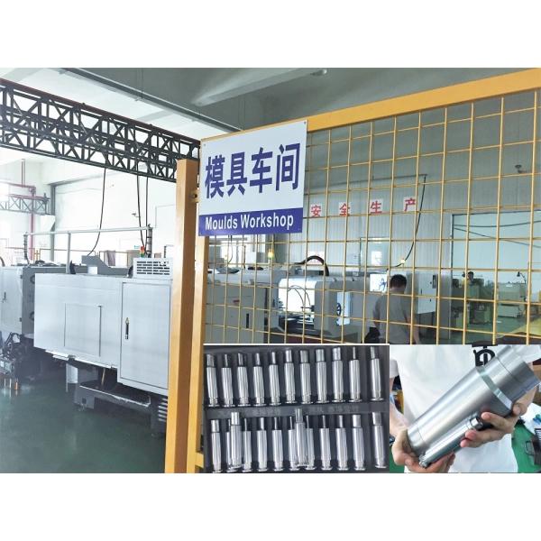66000pcs/H Salt Naphthalene Ball Tablet Press Machine