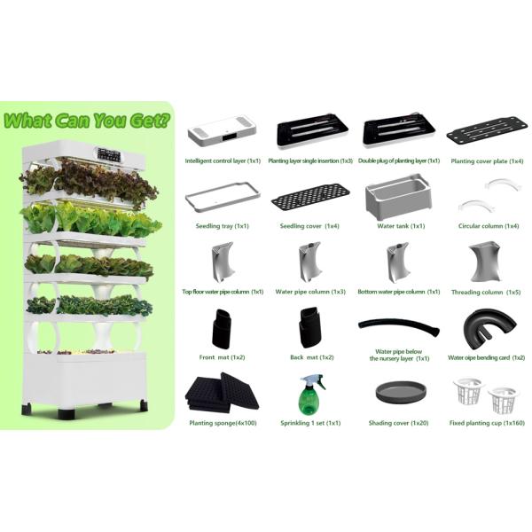 Veggiefloe Hydroponic System – Fresh, Healthy, and Sustainable Home-Grown Vegetables