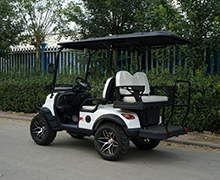 Lake Horse Electric Golf Cart with Buggy Car Tour Tire Front Disc Rear Drum Brake System