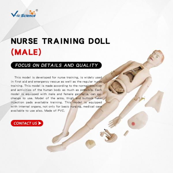PVC Nature Size CPR Training Manikins Nurse Training Doll Male For Teachers / Doctors