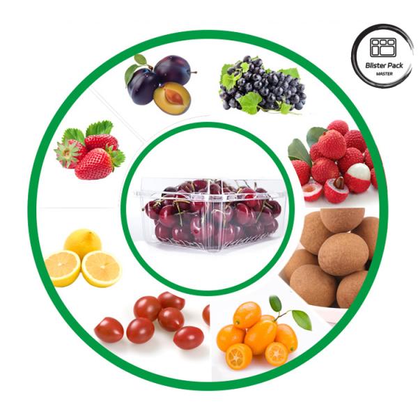 Disposable PET Food Grade Fruit & Vegetable Trays For Safe And Fresh Storage