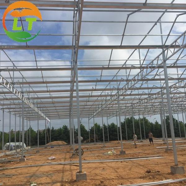 Ventilation System Included Venlo Glass Greenhouse with Galvanized Pipe Steel Structure