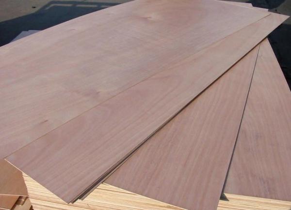 Eucalyptus Commercial Grade Plywood With Okoume Faced Standard Size