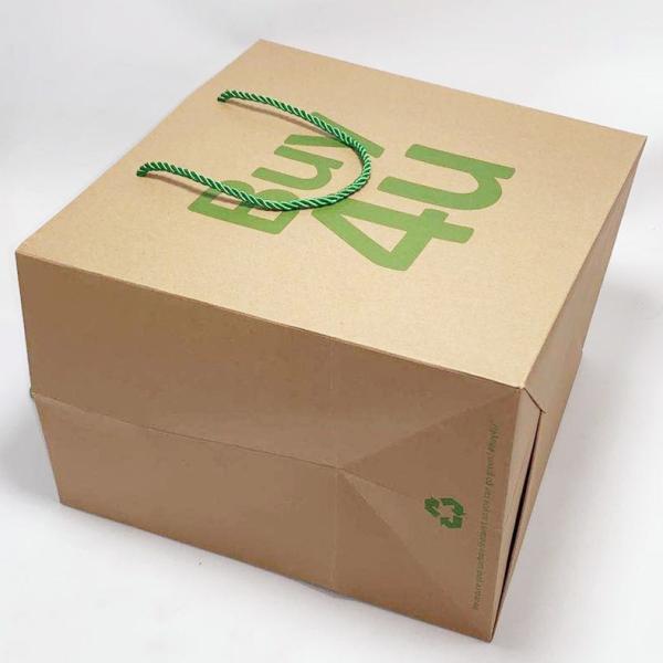 Beautiful Custom Brown Paper Bags Gift Clothes Packing Bag With Mixed Rope