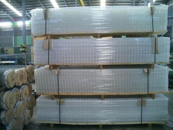 1/2 3/4 1'' Hot Dipped Galvanized Welded Wire Mesh Max width 2.5m