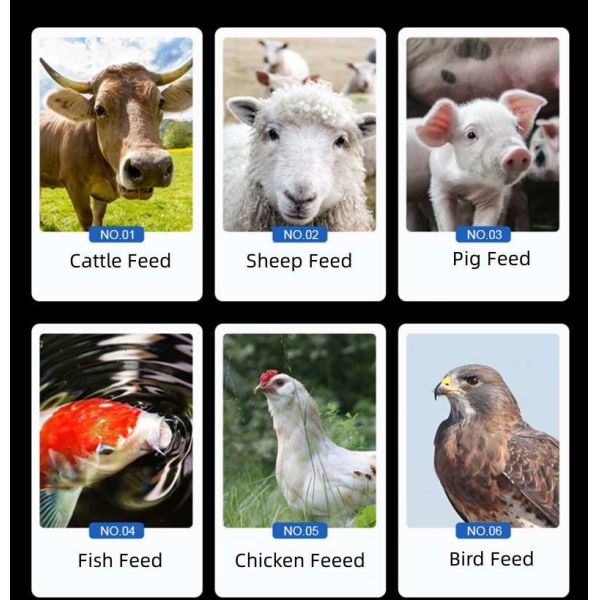 Animal Feed Production Line Customizable Production of Animal Feeds Pellets Logo Zhongdebao