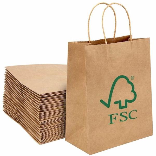 Food Takeaway Brown Plain Kraft Paper Bags With Twist Handles