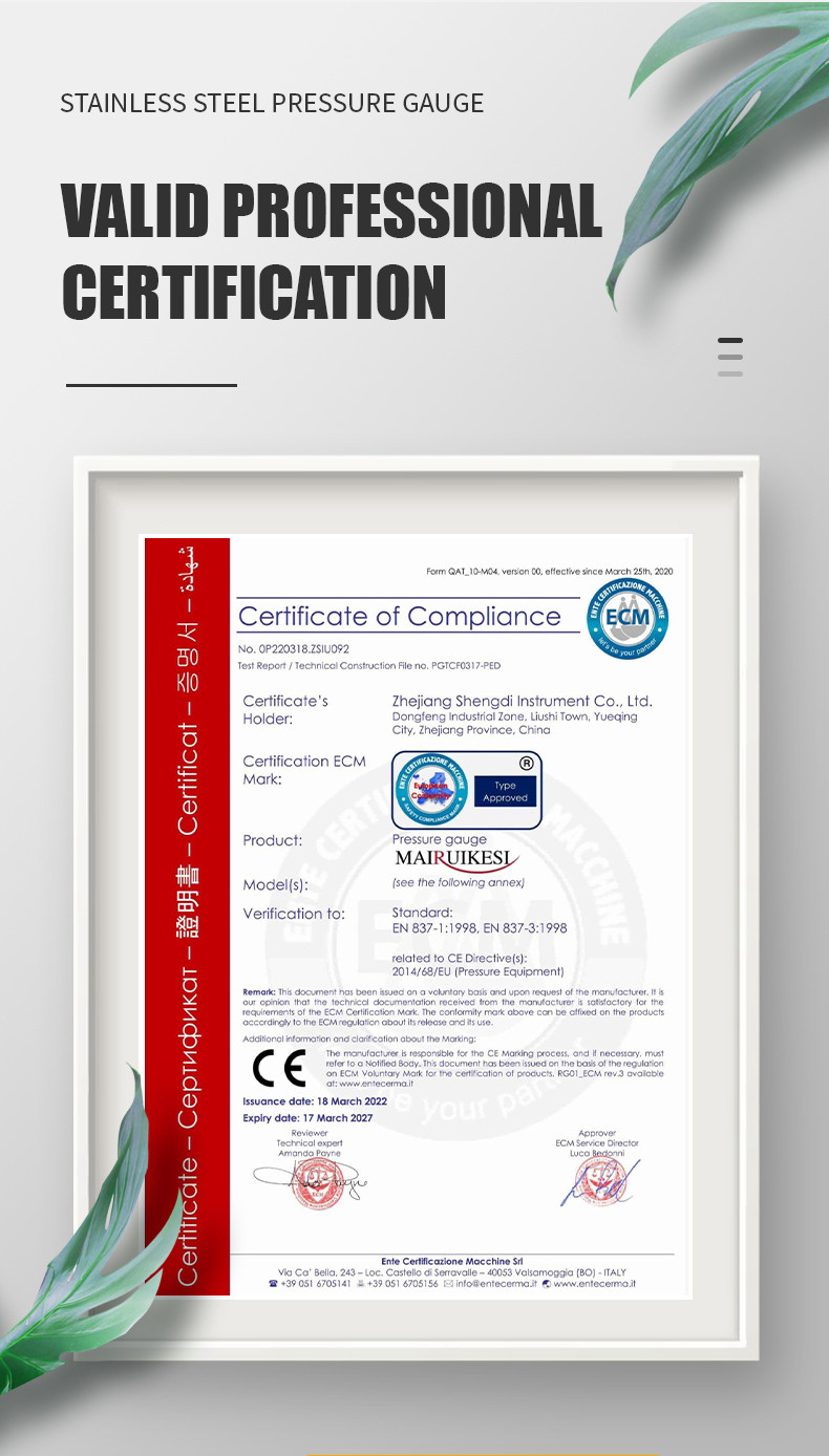OEM Supported Universal 100mm 1.6% Full ss Manometer Pressure Gauge for Gas and Liquid
