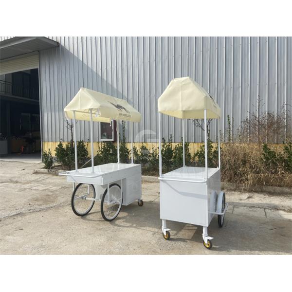 Small Portable Electric cart Cold Plate Push Umbrella Outdoor Mini Wheel Supermarket  Cart
