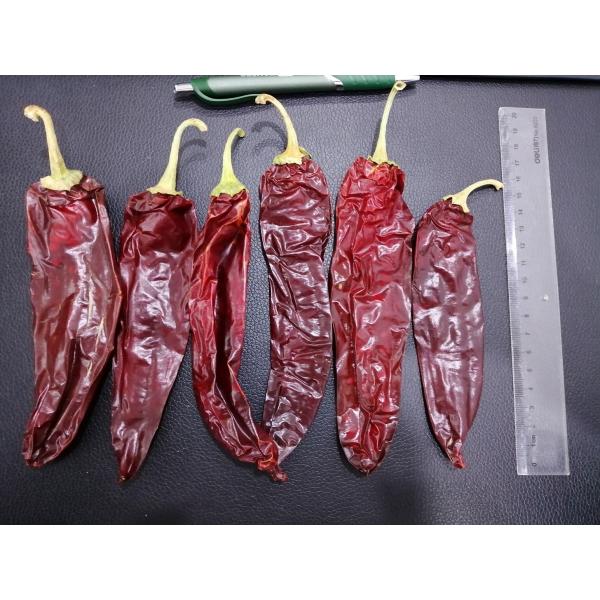 500 shu Dried Guajillo Chili Sweet Paprika Pepper BRC /Halal /ISO