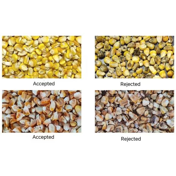 448 Channel 10 T/H Large High Resolution Corn Color Sorter