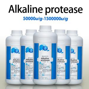 Alcalase protéasée 2,4 L pour le traitement des peptides protéiques personnalisa