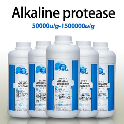 Enzyme de protéase alcaline 50000u/G-1500000u/G poudre de protéase