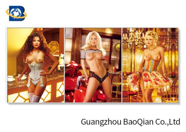 3D Flipped Wall Decorative Photos With Sexy Naked Beautiful Girl