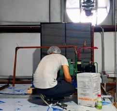 -10~+15°C Fruit Vegetable Cold Storage Warehouse for Supermarket