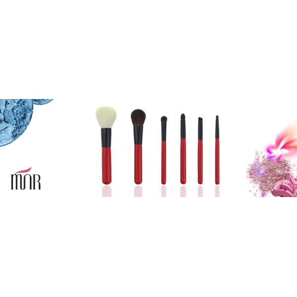 Mini Red Travel Makeup Brush Set Professional Makeup Brushes For Face and Lip