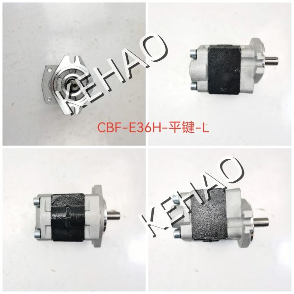Kawasaki Hydraulic Gear Pump CBF-E36H Flat Key Iron and Aluminum alloy materials Oil Transfer Pump for Heavy Machinery OEM Supported