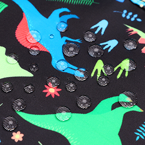 Boys School Backpack Dinosaur Backpack With Lunch Box Pencil Case Three Piece Backpack Set