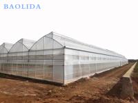 Serre chaude multi d'envergure de toit de ventilation de fraises de crèche tropicale de semis