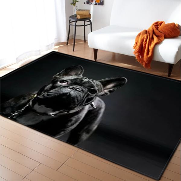 Animal New Cartoon Large Carpet Source Wholesale Feather ins Style Bedroom Floor Mats