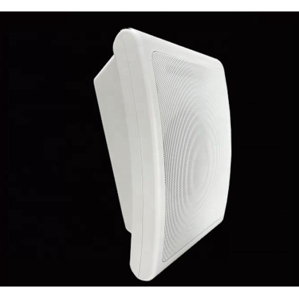 6W 3W 6 Inch Woofer Speaker Dual Cone Pa Speaker Wall Mount