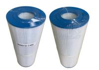Le filtre avancé de station thermale de tissu de filtration adapte Hot Springs Unicel C-4950