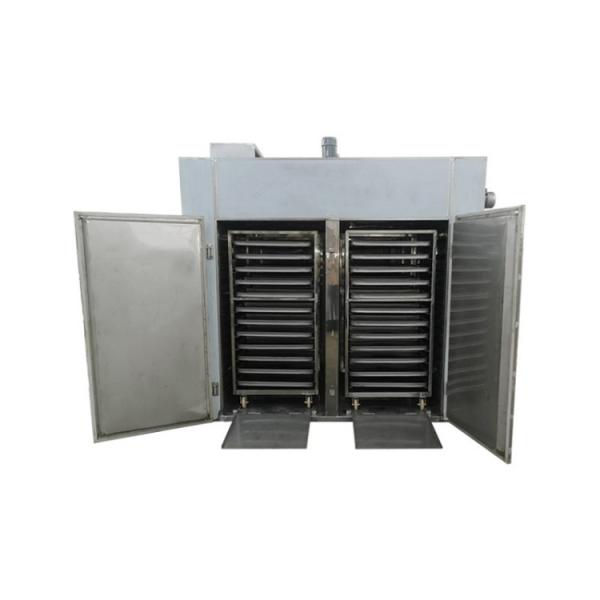 10 Stations White Exterior Hot Air Drying Oven with Double-layer Tempered Glass Door