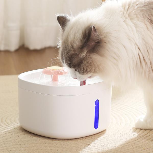 Customized Pet Feeder Food Grade Automatic Cat Water Fountain