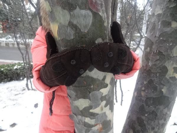Promotion Fashion Plain Daily Life Usage Winter Warm Real Lamb Fur Mittens Gloves