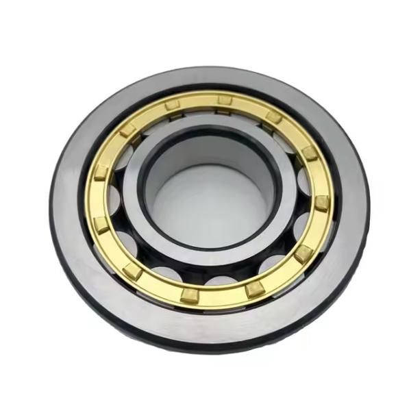 Machine Bearing NJ219EM NU219EM N219E Cylindrical Roller Bearing Chrome Steel Roller Ball Transfer Bearings