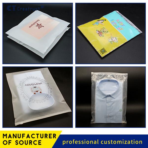 CTCX Custom Eco Friendly Frosted Clear Pe Zip Lock Bags Ziplock Packaging Bag Ziplock Bag Logo