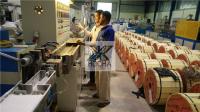 O PVC de baixo nível de ruído isolou a extrusão do fio e do fio do equipamento da extrusora do cabo da máquina da fabricação do cabo