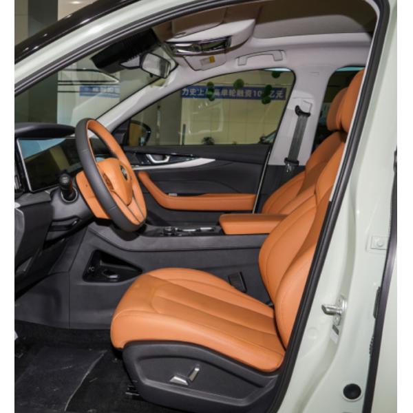 Weltmeister W6 2021 520km PRO All purpose edition