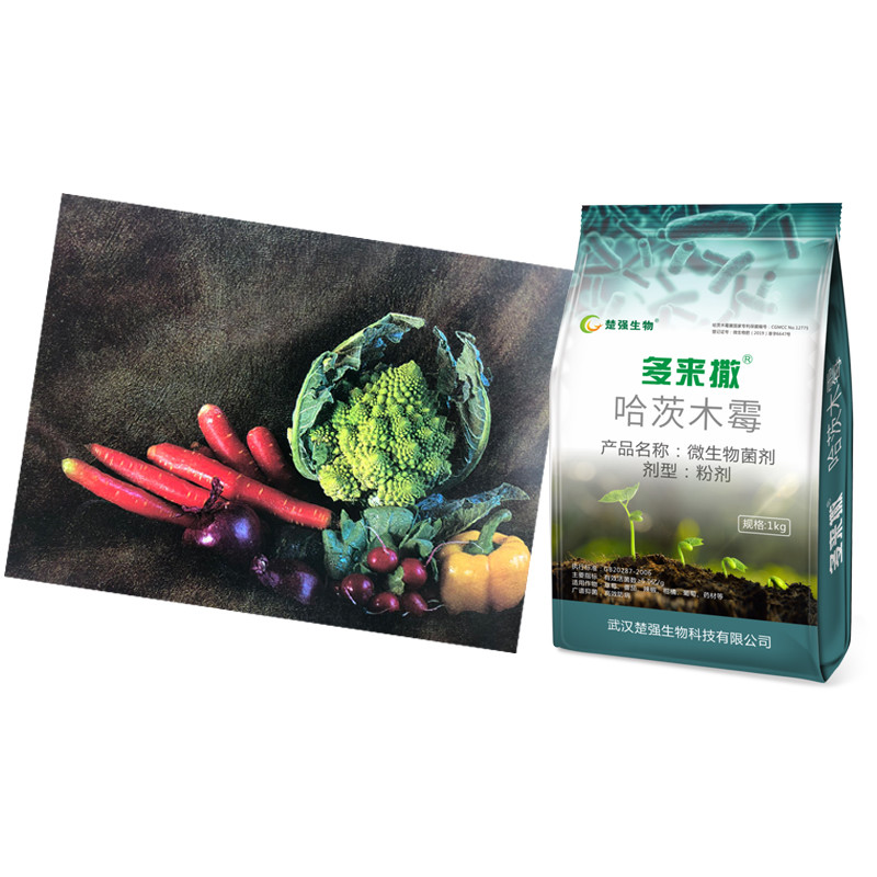 Duolaisa Bio Trichoderma Fertilizante Previnir Bactérias Wilt Root