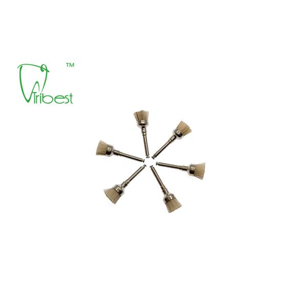 White Bristle Brush Dental Polishing Kit Teeth Polishing Brush