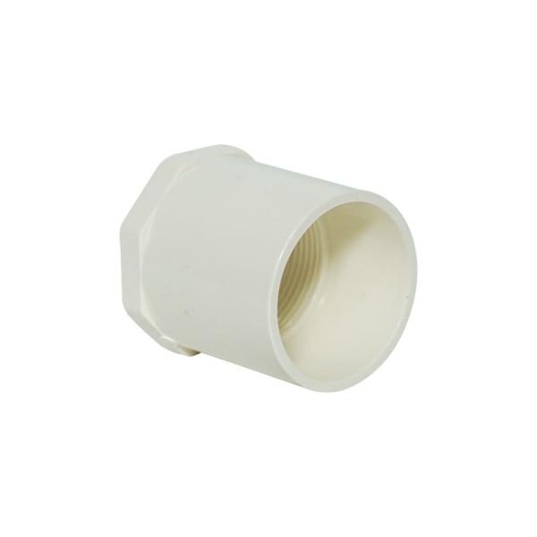 Femme fils de boushing droit connecteur de tuyau en PVC adaptateur de tuyaux en plastique