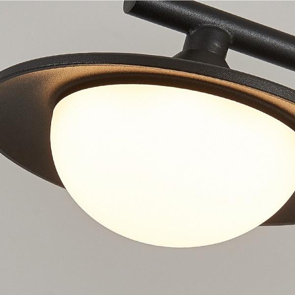 Unique Acrylic Black Aluminum Modern Pendant Light Different Shape