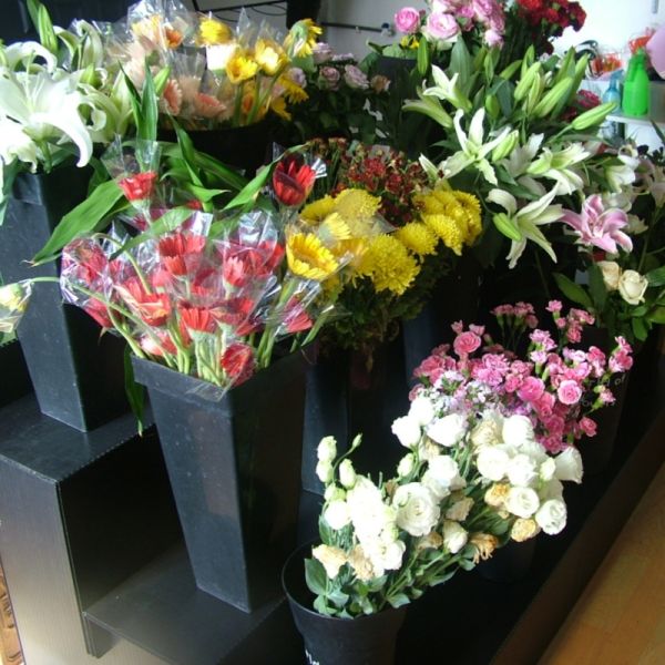 Lightweight, durable display stands for retail, exhibitions, and promotions. Easy to transport, assemble, and reposition, offering stable, space-saving, and attractive product displays.