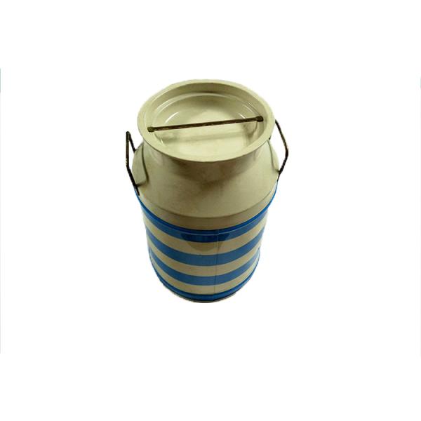 Milk Bottle Appearance Metal Food Box , Water Jug Shape Metal Tin Box