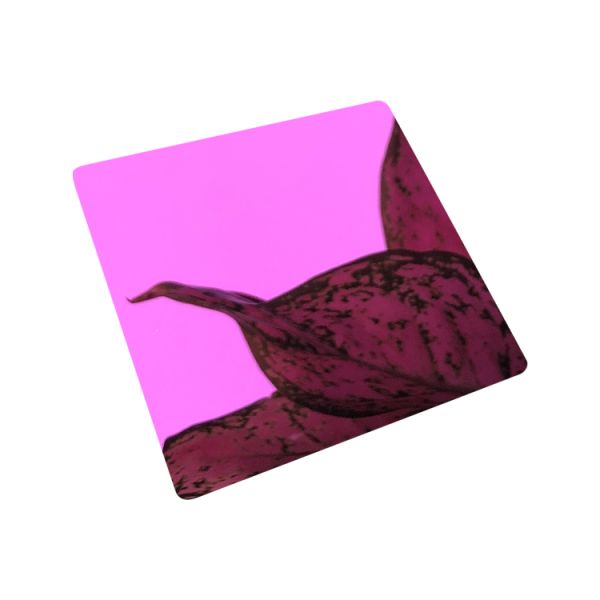 PVD Pink Mirror Finish Decorative Stainless Steel Sheet with 0.3-1.2mm Thickness and 1219*2438mm Size