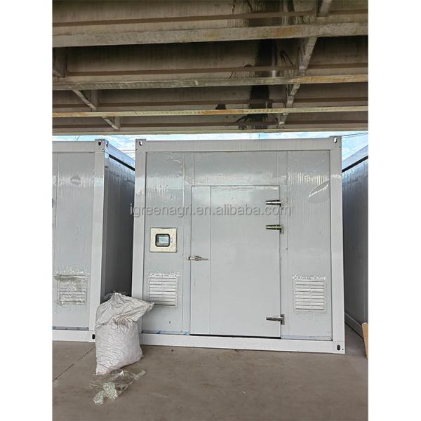 Single Span Greenhouse 20ft Agricultural Greenhouse For Mushroom Cultivation