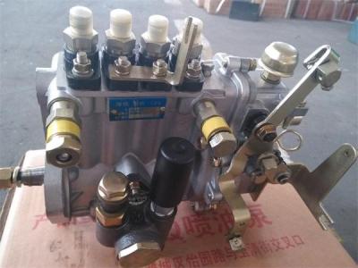 Laidong LL380,LL380B,KM385B,LL480B,KM485B,4L22B,KM496,KM4100 fuel pump