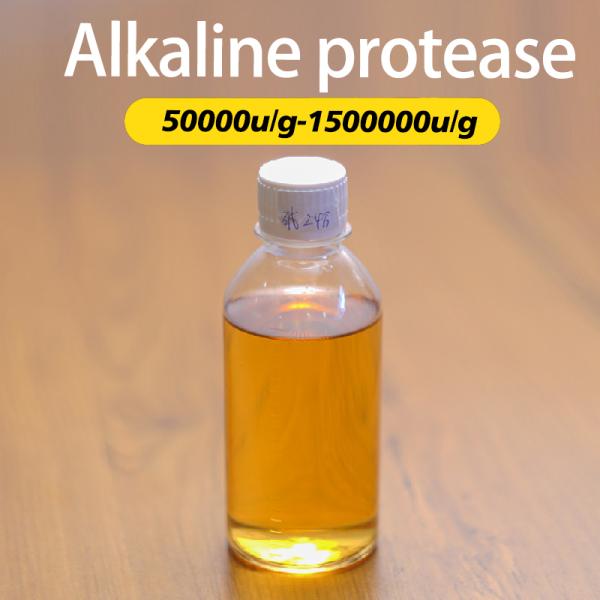 Détergent à protéase de lavage 200000u/g Activité enzymatique personnalisée