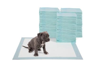 O animal de estimação fornece as almofadas do treinamento do urinol descartáveis para o cachorrinho e o cão