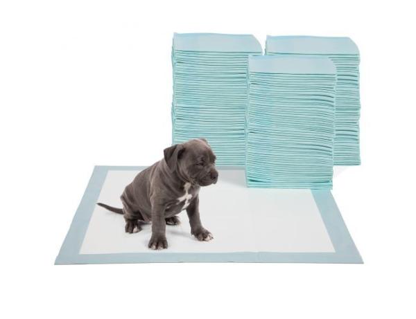 Pet Supplies Potty Training Pads Disposable For Puppy and Dog