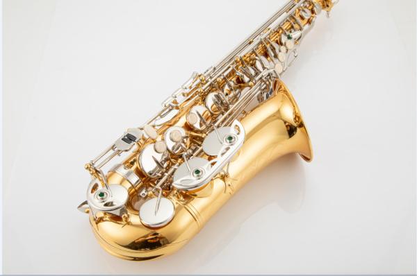 Good Quality OEM Professional bB Tenor Saxophone MORESKY E-Flat Eb Alto Saxophone Gold Keys with Case Music Instrument