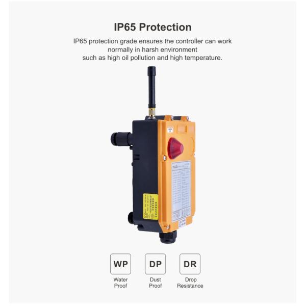 FCC CE Handheld Overhead Crane Wireless Remote Control F26-C2 Eot Crane Radio Remote